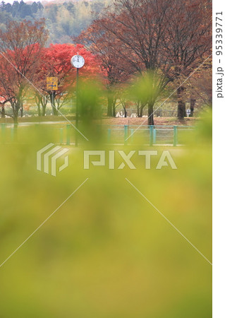 秋の森の公園（太閤山ランド　※富山県 射水市） 95339771