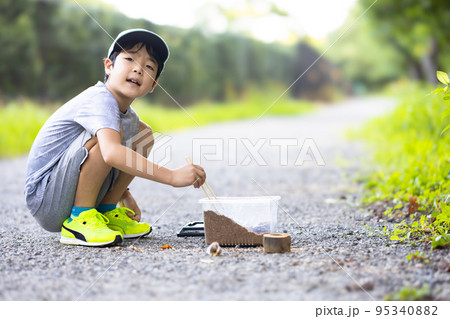 虫取りをする小学生 95340882
