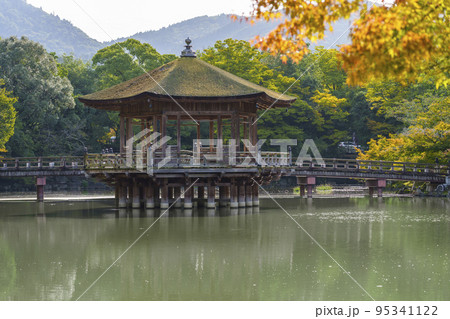 奈良公園 鷺池の中央部にある浮見堂 初秋の朝 奈良公園 鷺池の中央部にある浮見堂 初秋の朝 95341122