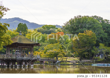 奈良公園 鷺池の中央部にある浮見堂 初秋の朝 奈良公園 鷺池の中央部にある浮見堂 初秋の朝 95341128