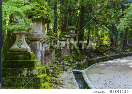 春日大社へ続く参道 苔むした石灯籠【奈良公園】 春日大社へ続く参道 苔むした石灯籠【奈良公園】 95341136