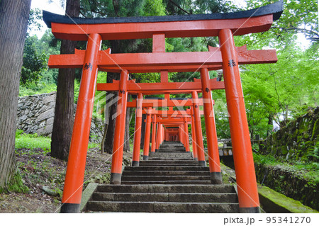 出石神社にある石段に並ぶ朱色の鳥居の数々 出石神社にある石段に並ぶ朱色の鳥居の数々 95341270