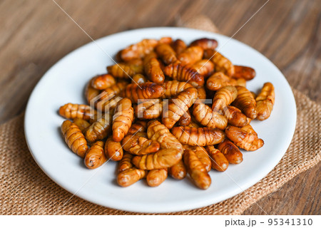 pupa on white plate background, fry silk worms - fried pupa for food beetle worm pupa on white plate background, fry silk worms - fried pupa for food beetle worm 95341310