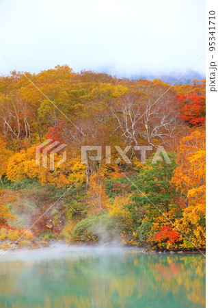 八甲田山の地獄沼の紅葉 95341710