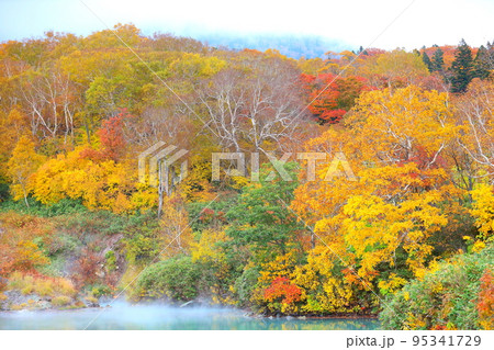 八甲田山の地獄沼の紅葉 八甲田山の地獄沼の紅葉 95341729