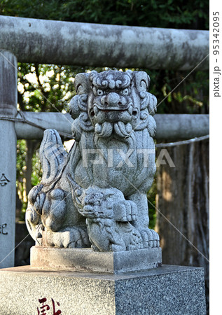 埼玉県熊谷市大麻生の大榮神社　狛犬の吽 95342095