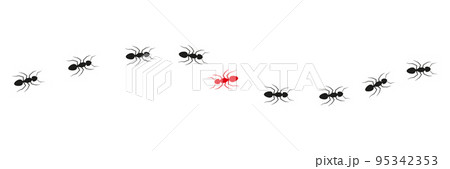 Ant colony trail. One ant changing direction. 95342353