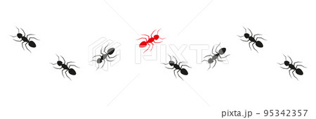 Ant colony trail. One ant changing direction. 95342357