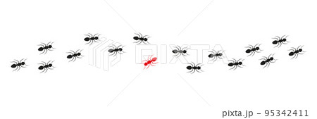Ant colony trail. One ant changing direction. Ant colony trail. One ant changing direction. 95342411