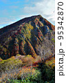 小朝日岳　紅葉　① 95342870