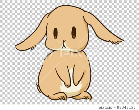うさぎ タン1 うさぎ タン1 95345153