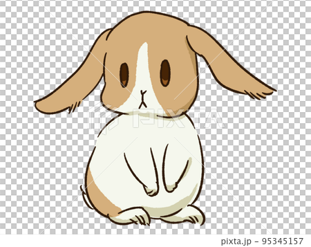 兔子荷蘭模式 1 兔子荷蘭模式 1 95345157