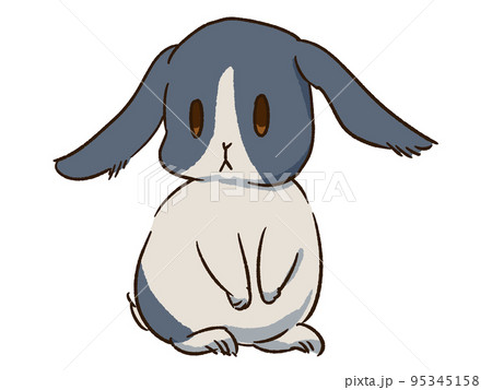 うさぎ　ダッチパターン2 95345158