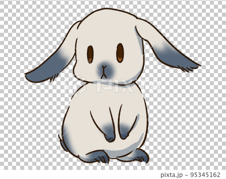 うさぎ　シェイデッド2 95345162