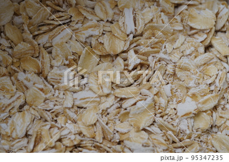 エンバク オートムギ ムギ 95347235