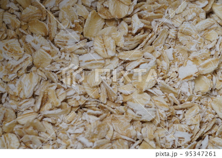 エンバク オートムギ ムギ 95347261