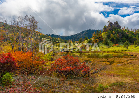 弓池　紅葉　白根山　草津 95347569