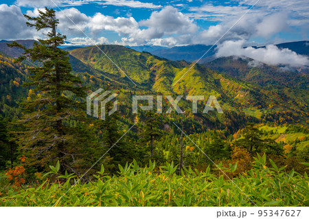 志賀高原 横手山 紅葉 志賀高原 横手山 紅葉 95347627