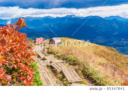 （長野県）紅葉が美しい白馬八方尾根登山　八方池山荘を見下ろす 95347641