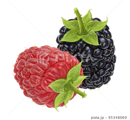 Raspberry and blackberry isolated on white background 95348069