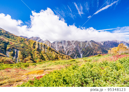 (長野県)紅葉が美しい白馬八方尾根 八方池付近の景観 (長野県)紅葉が美しい白馬八方尾根 八方池付近の景観 95348123