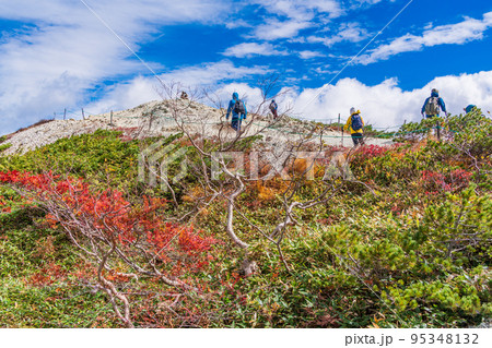 (長野県)紅葉が美しい白馬八方尾根 八方池付近の景観 (長野県)紅葉が美しい白馬八方尾根 八方池付近の景観 95348132