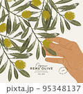 Olive tree design template. Hand touching olives on a tree. Vector illustration. 95348137