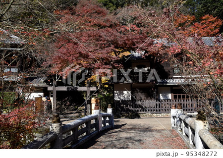 箕面公園 紅葉 箕面公園 紅葉 95348272