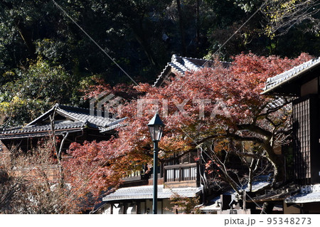 箕面公園　紅葉 95348273