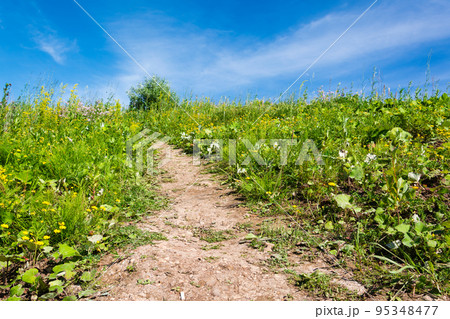 A dirt path framed by green grass rises up to the blue sky. Development concept A dirt path framed by green grass rises up to the blue sky. Development concept 95348477