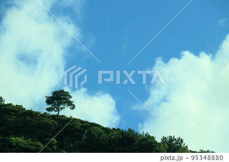 夏空 夏空 95348880