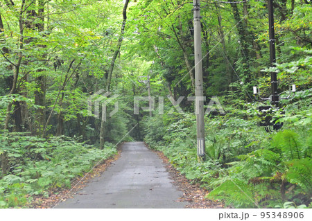 曇り空の青森県津軽国定公園の景色 曇り空の青森県津軽国定公園の景色 95348906
