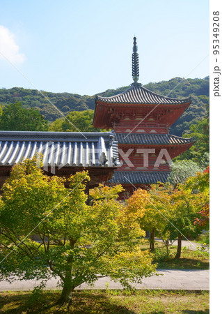 太山寺／手水舎と三重塔（兵庫県神戸市） 95349208