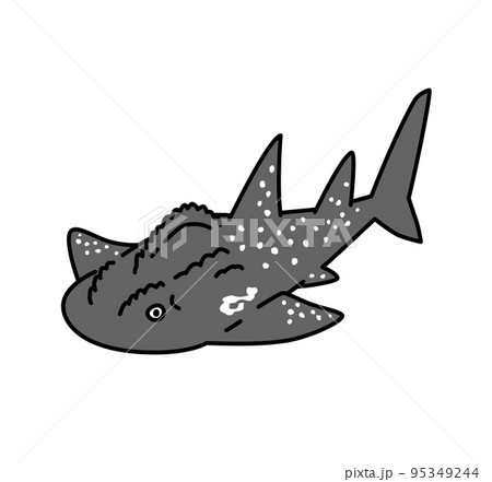 シノノメサカタザメのイラスト 95349244