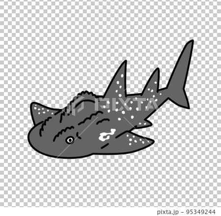 シノノメサカタザメのイラスト 95349244