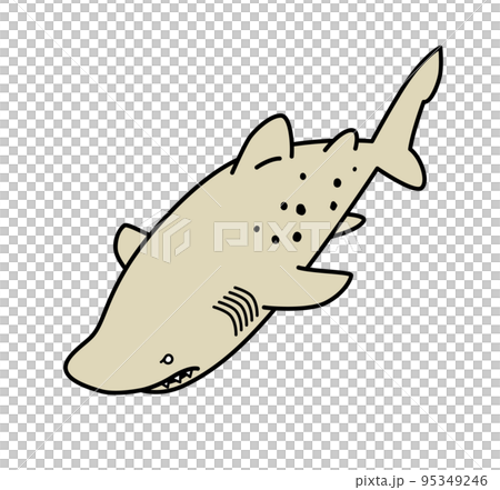 シロワニのイラスト 95349246