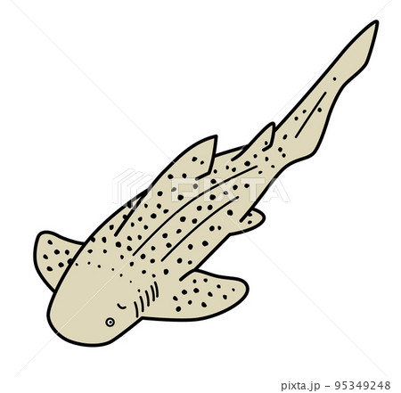 トラフザメのイラスト 95349248