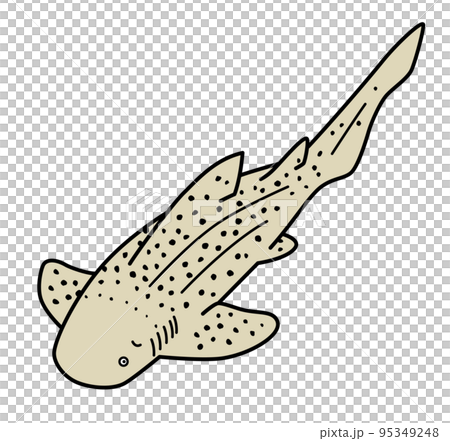 トラフザメのイラスト 95349248
