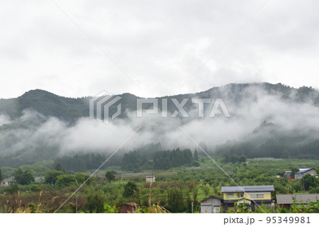 霧が掛かる森 95349981