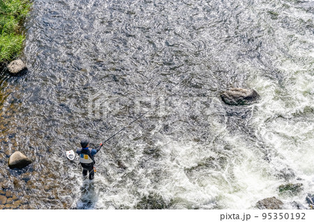 アユ釣り　鮎　友釣り　釣り人　解禁 95350192
