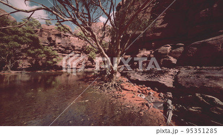Rocks of Colorado river with trees Rocks of Colorado river with trees 95351285