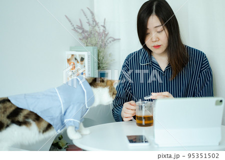 woman in pajamas cloth drink tea and play with her cat woman in pajamas cloth drink tea and play with her cat 95351502