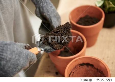 Closeup image of gardener putting fertile soil in clay pots Closeup image of gardener putting fertile soil in clay pots 95351594