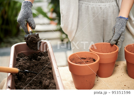 Closeup image of female gardener putting dirt in clay pots 95351596