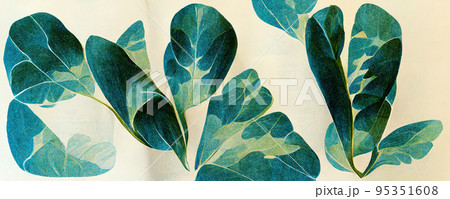 Spectacular pencil color drawing of green leaf. Digital 3D illustration. 95351608