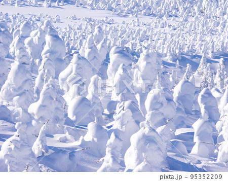 晴天の樹氷原 (山形県、蔵王温泉スキー場) 95352209