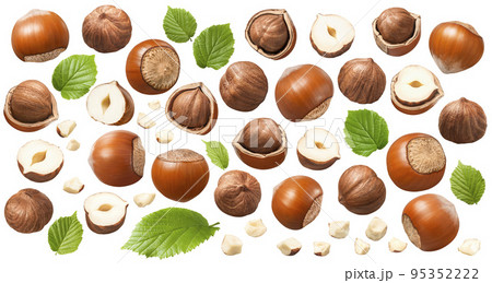 Set of hazelnuts, green leaves and small nut pieces isolated on white background. Collection #2-3 95352222
