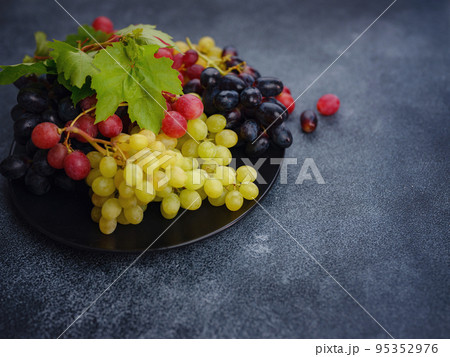 Vineyard Harvest in autumn season Vineyard Harvest in autumn season 95352976