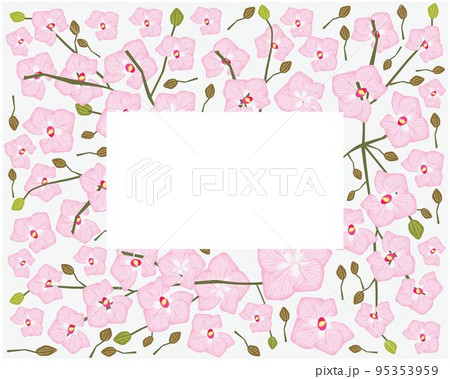 Frame of Pink Doritaenopsis Orchid Flowers or Phalaenopsis Frame of Pink Doritaenopsis Orchid Flowers or Phalaenopsis 95353959