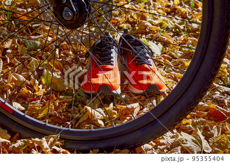 Orange sneakers and a bicycle wheel in sunlight against a background of fallen autumn leaves 95355404
